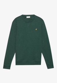 Sudadera verde con mangas largas, cuello redondo y puños acanalados. Presenta un pequeño logo en dorado en el pecho. Material de algodón suave.