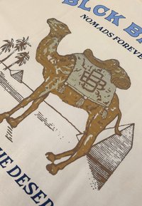 Bruine grafiek van een kameel met een versierde zadel, tegen een lichte achtergrond, met pyramiden en palmbomen in het ontwerp. Text hieronder.