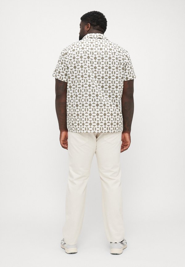 JPRBLUKEVIN RESORT  - Shirt - tea leaf2