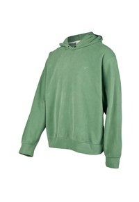 Green hoodie made of soft fabric, featuring a drawstring hood, ribbed cuffs, and a small blue logo on the chest. Simple design, casual fit.