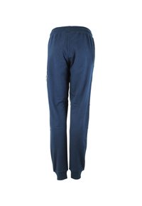 Peak Mountain AFRENCH - Pantalones deportivos - marine