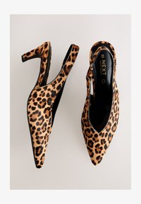 Sélectionné, leopard