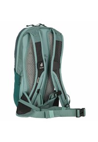 Backpack in teal fabric with black mesh. Padded shoulder straps and lower back support. Features adjustable side buckles and loops.