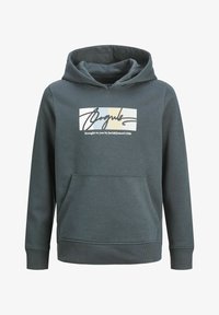 Seleccionado, forest river