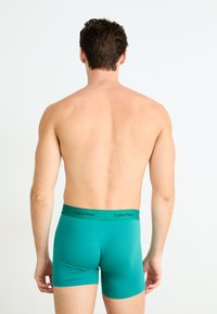 Zöld férfi alsónadrág sima anyagból, fekete derékkal, amelyen a 'Calvin Klein' márkajelzés található, hátulról bemutatva.
