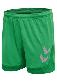 Shorts de sport verts avec ceinture élastique et deux formes chevrons grises sur la jambe droite, fabriqués en tissu mesh respirant.