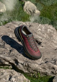 TX4 EVO ST WOMAN - Chaussures de marche - redwood/onyx