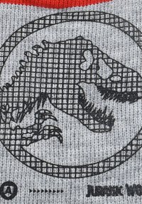 Tessuto a maglia grigio con una grafica nera di un Tyrannosaurus rex all'interno di una griglia circolare. Bordo rosso in alto. Testo sotto la grafica.