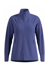 Blaues langärmliges Zip-Jacke mit Stehkragen und zwei seitlichen Reißverschlusstaschen, entworfen für den Outdoor- oder sportlichen Einsatz.