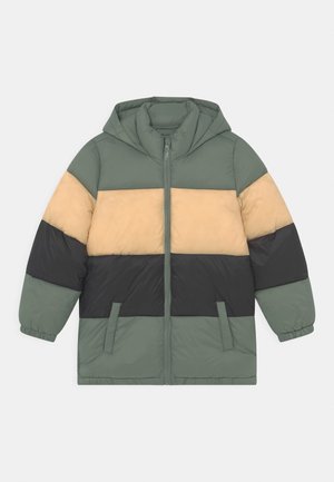 FRANKIE PUFFER - Winter coat - swag green/semolina/black