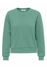 Mikina s dlouhým rukávem a kulatým výstřihem v tlumené mintově zelené barvě s žebrovanými manžetami a lemem, jednoduchý design a štítek značky JDY uvnitř límce.