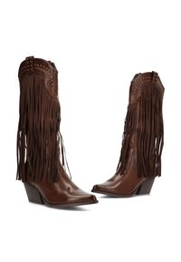 Botas de vaquero de cuero marrón con largas franjas en los lados, puntera afilada y tachuelas decorativas en los puños. Tacones bajos apilados.