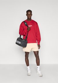 Piros pulóver fehér "adidas" logóval, bézs rövidnadrág, fekete utazótáska fehér logóval, fehér zokni és szürke sportcipő. Egyszerű sportos öltözet.