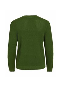 Pull en tricot vert texturé avec manches longues et poignets côtelés, montré de dos sur fond blanc.