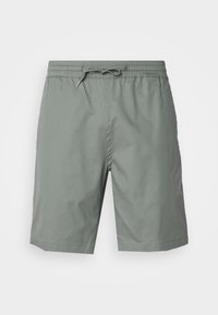 NEW GAMMA - Shorts - vert d'eau