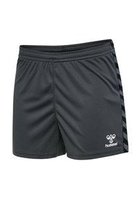 Graue Sportshorts mit elastischem Bund, ausgestattet mit schwarzen Seitestreifen und einem weißen Logo. Hergestellt aus einem glatten, leichten Material.