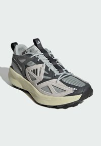 adidas Sportswear KANTAI - Trail hardloopschoenen - silver core black grey six
