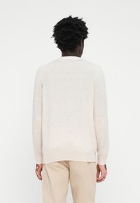 Pull en tricot beige clair avec un col rond, des manches longues et une finition légèrement texturée. Design simple et minimaliste, sans motifs ni embellissements.