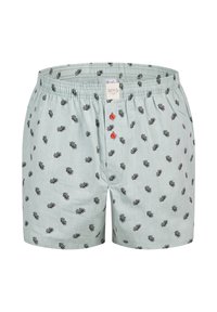 Boxer leggeri blu chiaro con piccoli motivi a foglia nera, vita elastica e due bottoni rossi nella parte anteriore. Tessuto di cotone con una consistenza liscia.
