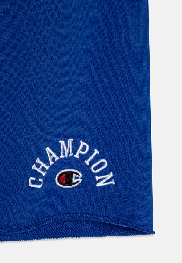 BASKETBALL INSPIRED - Tracksuit bottoms - bai2