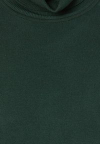 Ciemnozielony sweter z golfem, wykonany z ribbowanej tkaniny. Tekstura jest miękka, sweter dobrze przylega do ciała i ma podwinięty kołnierz.