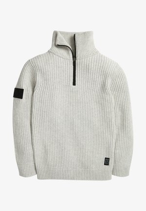 CHUNKY HIGH NECK ZIP - Sweter - grey