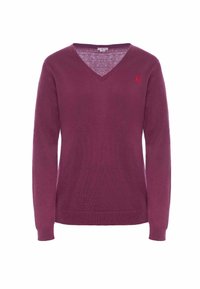 Pullover a V di colore mogano, con maniche lunghe, polsini e orlo a coste, caratterizzato da un piccolo logo rosso sul lato sinistro del petto, realizzato in un tessuto morbido e leggero.
