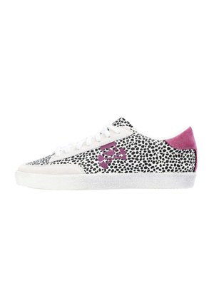 - Sneakersy niskie