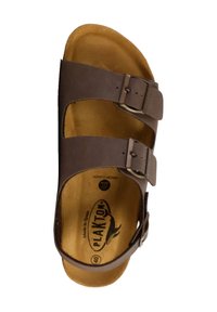 PLAKTON Sandales - marron