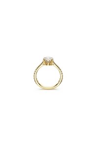 Gulforlovelsesring med en stor solitaire-diamant, omgivet af mindre pavé-satte diamanter langs ringen. Glat, poleret finish.