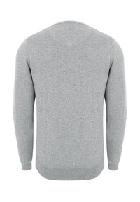 Jasnoszary sweter dzianinowy z okrągłym dekoltem, długimi rękawami oraz ściągaczami na mankietach i u dołu. Gładka tekstura, minimalistyczny design, bez widocznych wzorów.