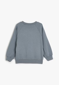 Sudadera de manga larga azul claro con puños, cuello y dobladillo acanalados, mostrada plana desde la parte posterior sobre un fondo blanco.