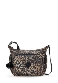 Unselected, wild leopard