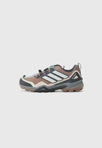 SKYCHASER GTX W - Pārgājienu apavi - earth strata   grey one   semi flash aqua