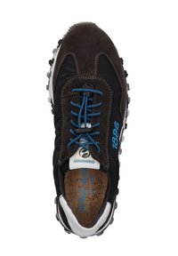 Czarno-brązowe trampki z teksturowanym zamszowym wierzchem, niebieskimi sznurowadłami, wyściełanym białym kołnierzem i gumową podeszwą z bieżnikiem. Widoczna nazwa marki.