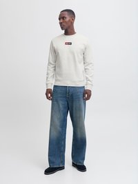 Άνδρας που φοράει ανοιχτό γκρι φούτερ με το λογότυπο "Jack & Jones", φαρδιά μπλε τζιν παντελόνια και μαύρα παπούτσια, στέκεται μπροστά σε φωτεινό, απλό φόντο.