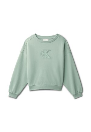 BOXY  - Sweatshirt - jadeite tcx