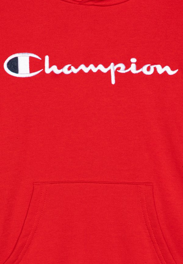 ICONS HOODIE WITH LARGE LOGO - Hoodie - sed2