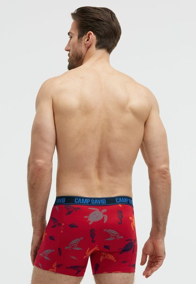 Camp David Unterhosen fr Herren Gre L online bei ZALANDO