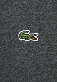 Logo de crocodile vert brodé avec une bouche rouge sur un fond en tissu gris foncé.