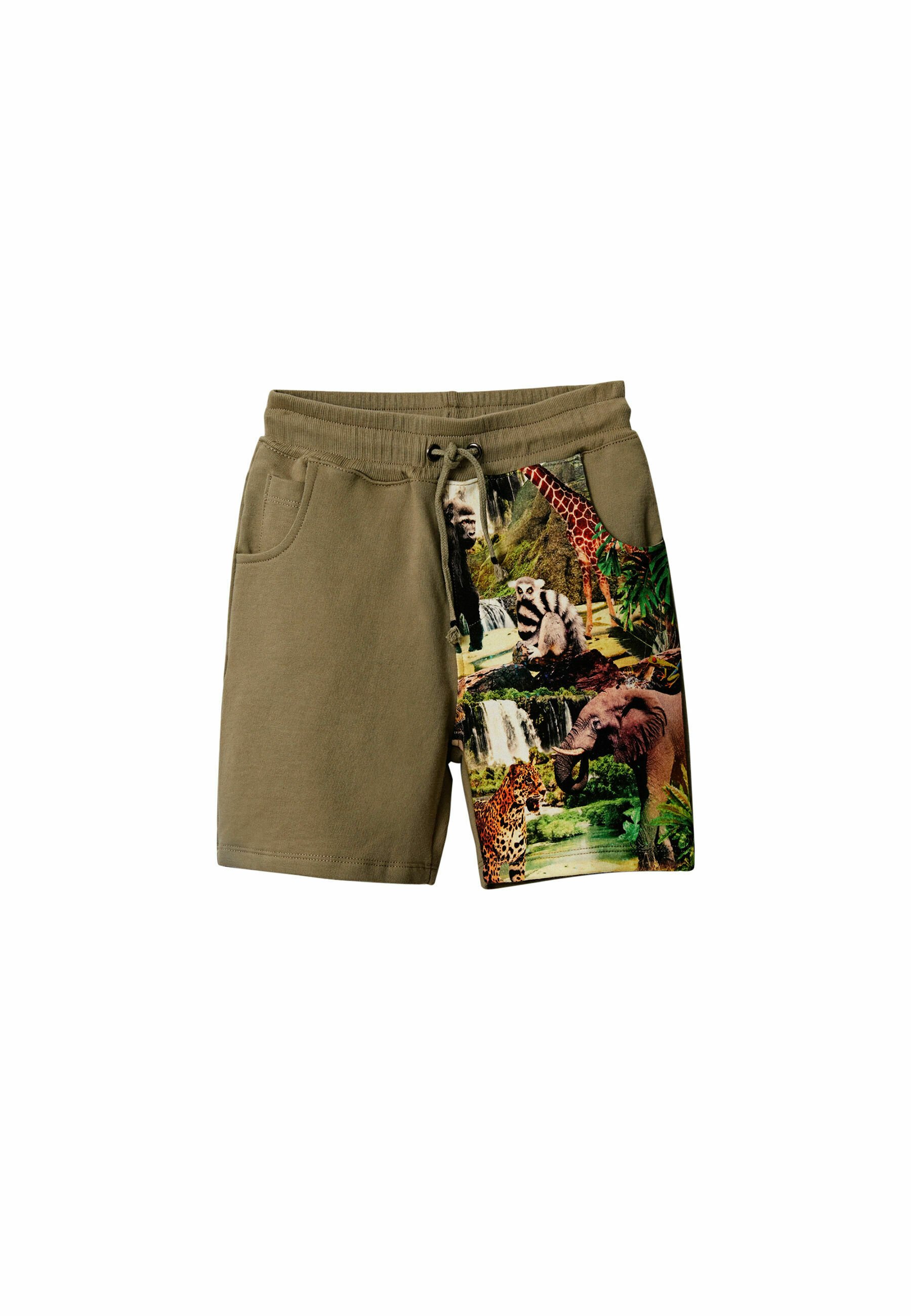 Desigual Shorts - green/verde - Zalando