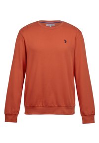 Neselectat, burnt ochre