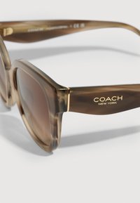 Hnedé plastové slnečné okuliare s veľkými štvorcovými sklami, s priesvitným rámom a zlatým kovovým doplnkom s nápisom "COACH NEW YORK."