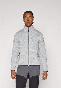 Icepeak ADRIAN - Sudadera con cremallera - light grey