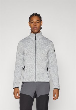 Icepeak ADRIAN - Zip-up sweatshirt - light grey