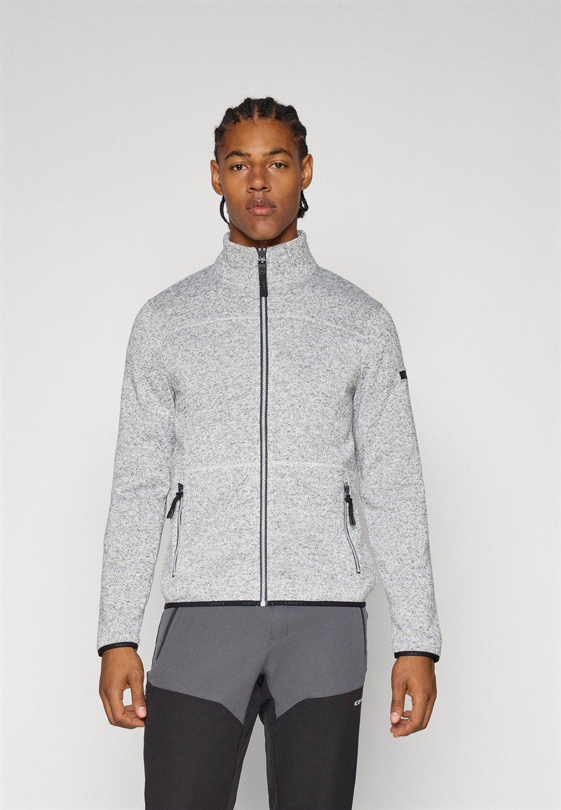 Icepeak ADRIAN - Sudadera con cremallera - light grey