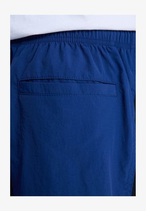 DC Shoes, FLOW DOWN - ELASTISCHE - Kurze Sporthose - bsw estate blue