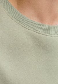 Lichtgroene crewneck sweatshirt met een geribbelde halslijn en een gladde textuur, met minimale stikdetails en een schone, eenvoudige uitstraling.
