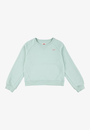 Sudadera recortada de color verde claro con cuello en V, puños y dobladillo acanalados. Presenta un pequeño logo de la marca en el pecho. Textura de tela suave.