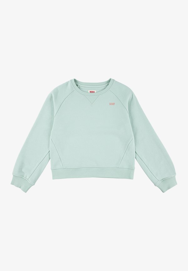 BATWING - Sweatshirt - celadon